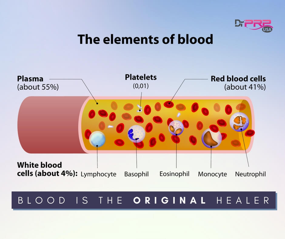 The Elements of Blood Diagram