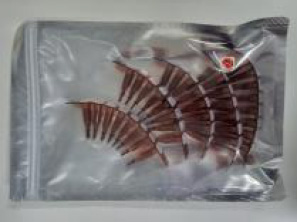 Sterile, Single Use - 5 Sets of 8 Containers (40 Total)